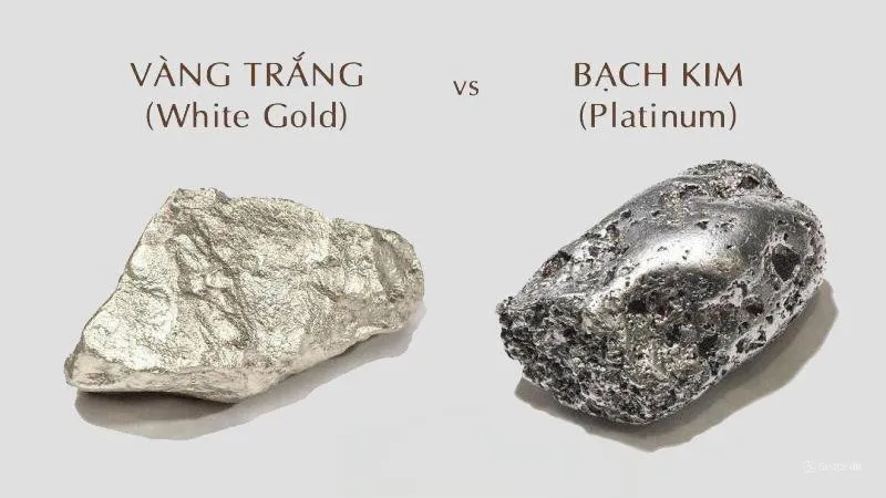 so s&aacute;nh chất liệu v&agrave;ng trắng  với bạch kim