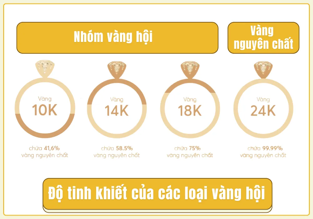 hội của v&agrave;ng